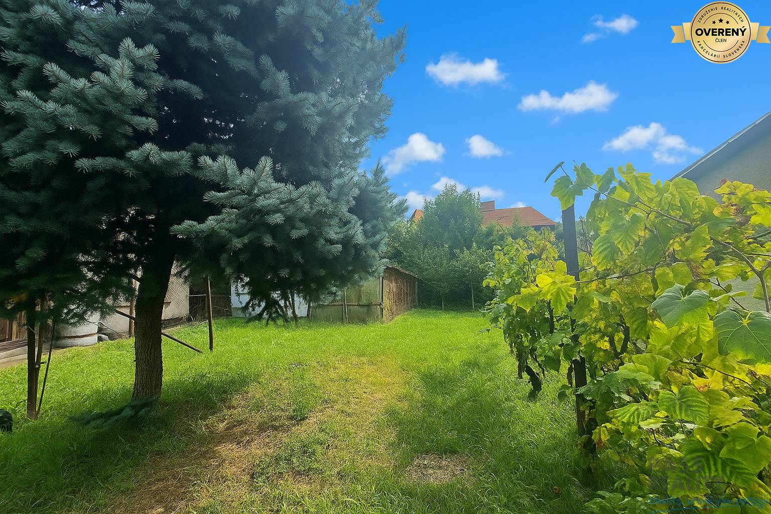 54409b09-43e6-4df3-9819-eac2cd8b0ddc (1).png